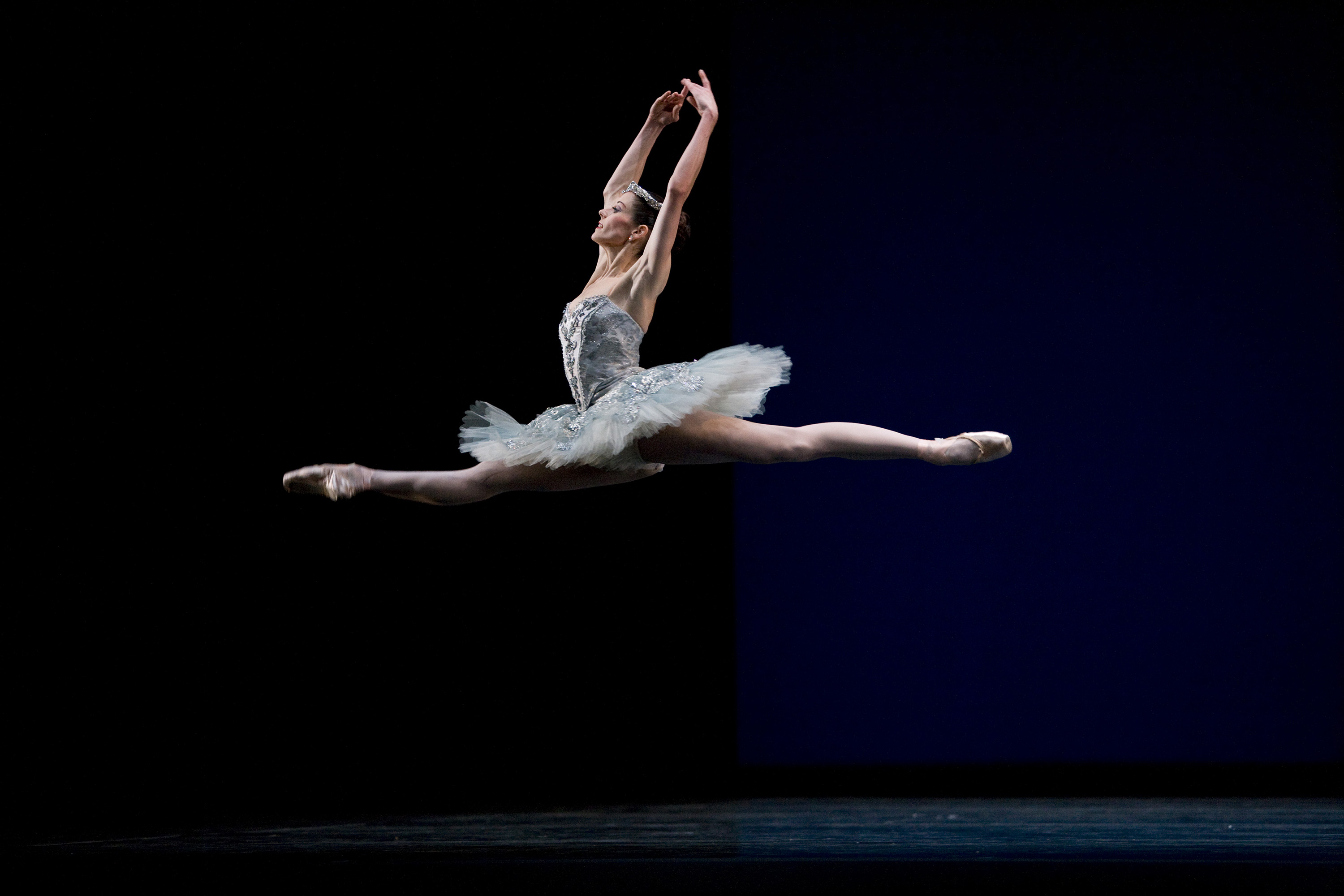 Ballet Dancer 91